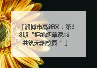 淄博市高新区：第38期“拒绝烟草诱惑 共筑无烟校园 ”